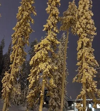 Apartment Viihtyisae Lomahuoneisto Rukalla! Kuusamo